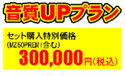 UPv@ZbgwʉiiMZ60PREMI܂ށj300,000~iōj